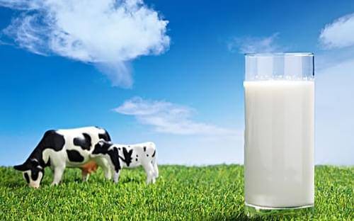 2020年三季度进口乳制品突破240万吨，中国乳业市场迎来新格局